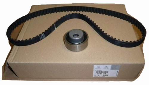 Timing Belt Kit, Set 0831Q3 Citroen Peugeot New Original