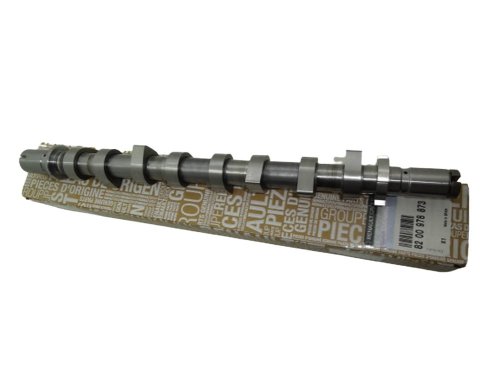 Camshaft 8200978873 Renault Clio II Megane Scenic 1.5 DCI Original