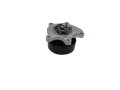 Water pump 210102298R Renault Megane IV 1.3 TCe New Original (id: 8470)