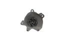 Water pump 210102298R Renault Megane IV 1.3 TCe New Original (id: 8470)