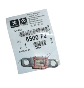 Relay 6500FJ Citroen Peugeot C1 107 125 A  New Original