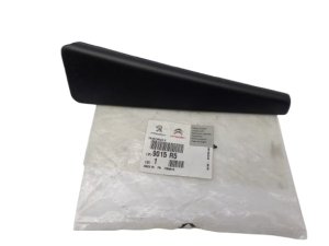 Door Cover Left Rear 9015R5 9015.R5 Peugeot 307 Original New
