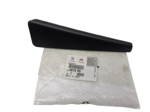 Door Cover Left Rear 9015R5 9015.R5 Peugeot 307 Original New