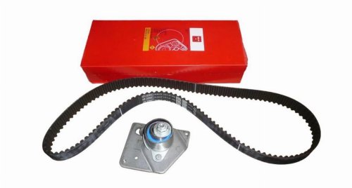 Timing Belt Kit 8671019546 Renault 1.9DCI Original New
