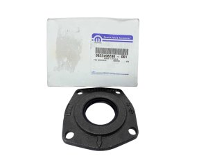 Bearing Seal 9822498280 New OE PSA Boxer (1)
