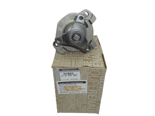 Water Pump 210103098R Renault Original