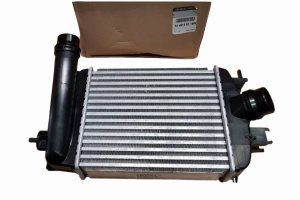 Air Cooler 144961019R Renault Clio V Original New