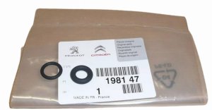 Injector Seals 198147 1981.47 Citroen Peugeot Original New