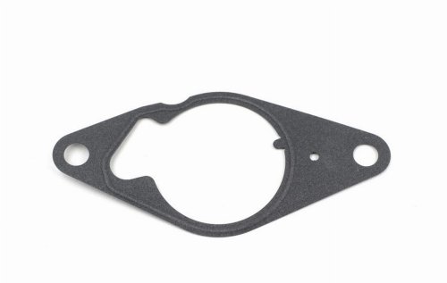 Vacuum Pump Seal 1616778180 Citroen Peugeot 1.3HDI Original New