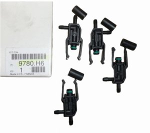 Injector Repair Kit 9780.H6 9780H6 Citroen Peugeot Original New