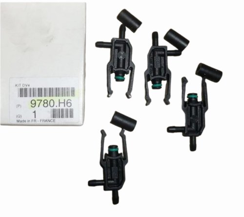 Injector Repair Kit 9780.H6 9780H6 Citroen Peugeot Original New
