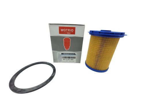 Fuel Filter 2.3 DCI 164038513R New OE Renault Master III (1)