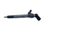 Injector 1.5 DCI 166006212R New Original Renault Megane III (id: 9385)