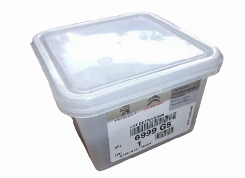 Windshield Repair Kit 6999G5 6999.G5 Citroen Xsara Picasso Original New