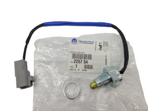 Back Light Sensor Original 225754 PSA