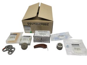 Oil Pump Chain Set 150A03157R Renault 1.6 16V Original New