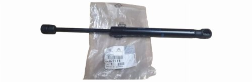 Tailgate Shock Absorber 8731.T3 8731T3 Peugeot 407 Original New
