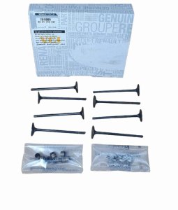 Intake Valves 8201739581 Dacia Dokker 1.3TCE Original New