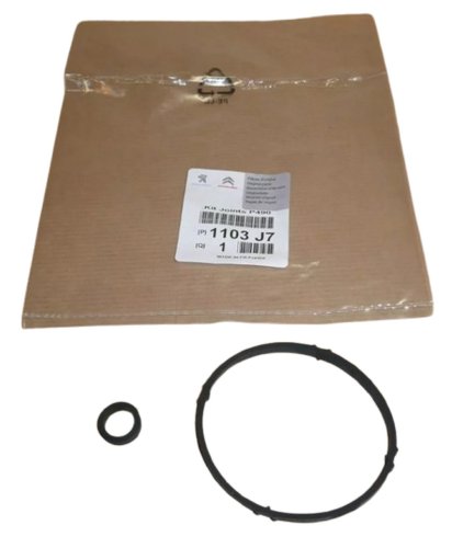 Gasket Set 1103J7 1103.J7 Citroen Peugeot Original 