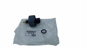 Sensor Original  191316 Citroen Peugeot 2.2HDI, 2.0HDI 