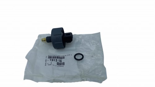 Sensor Original  191316 Citroen Peugeot 2.2HDI, 2.0HDI 