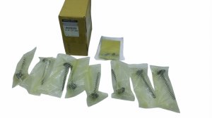 Set of Exhaust Valves Original 132024482R Renault 