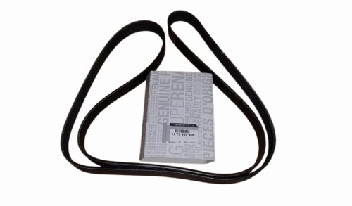 V-Belt 117206190R 7PK1792 Renault 1.9/2.2/2.5DCI/2.0 Original New