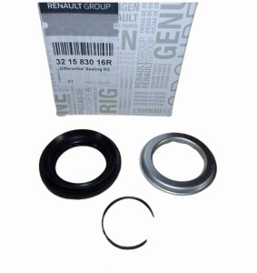 Axle Shaft Seal 321583016R DW6 Renault Original New