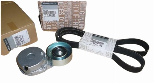 V-Belt Kit 117206170R Renault Megane III 2.0 16V Original New