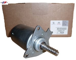 Solenoid 1920LY Citroen Peugeot C3 DS3 208 308 1.4-1.6 VTI New Original