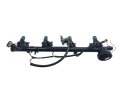 Listwa Wtryskowa 2.0 16V F4R 7700107405 7700112777 Renault Scenic II Używany Oryginał  (3).jpg