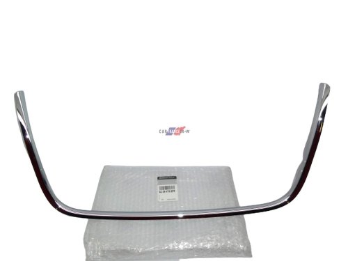 Bumper Trim Front 620847585R Renault Laguna 3 New Original