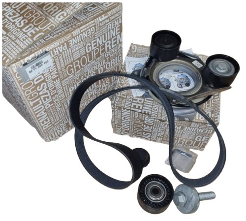 Timing Belt Kit 8201669460 Renault Original New